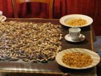 Garnelen-Fischerei 